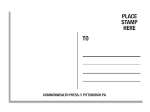 PittsburghGeese Postcard